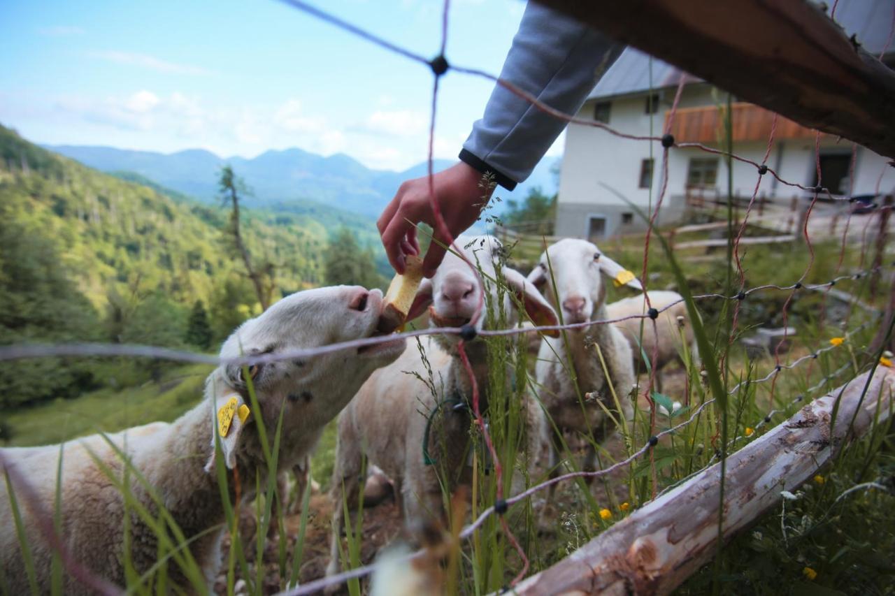 Apartma Gorski Razgled Srednja Vas v Bohinju 外观 照片