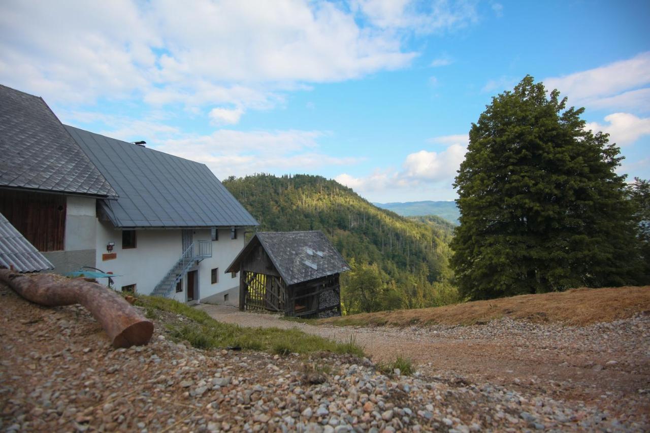 Apartma Gorski Razgled Srednja Vas v Bohinju 外观 照片