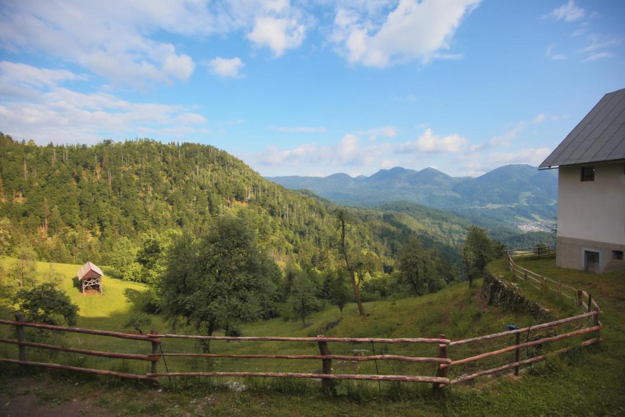 Apartma Gorski Razgled Srednja Vas v Bohinju 外观 照片