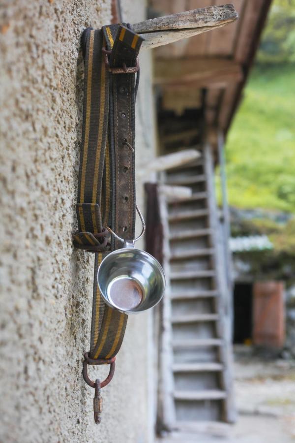 Apartma Gorski Razgled Srednja Vas v Bohinju 外观 照片