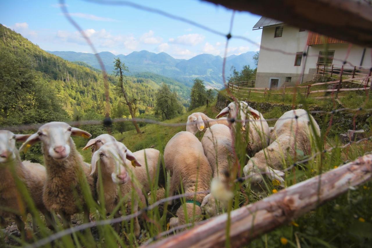 Apartma Gorski Razgled Srednja Vas v Bohinju 外观 照片