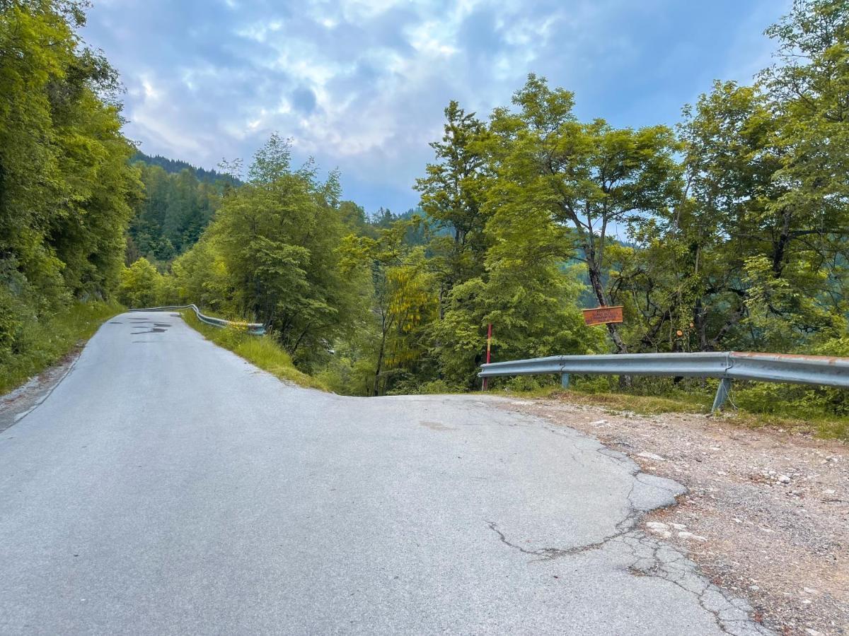 Apartma Gorski Razgled Srednja Vas v Bohinju 外观 照片