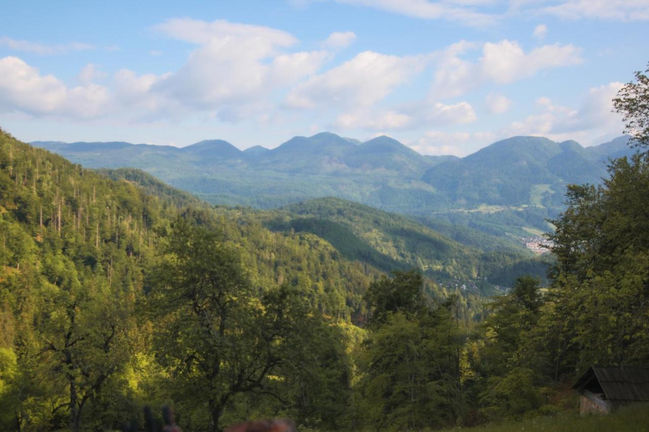 Apartma Gorski Razgled Srednja Vas v Bohinju 外观 照片