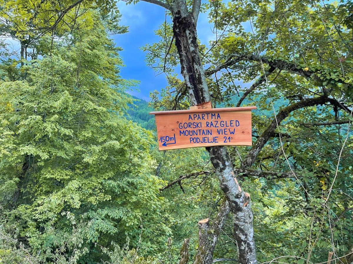 Apartma Gorski Razgled Srednja Vas v Bohinju 外观 照片